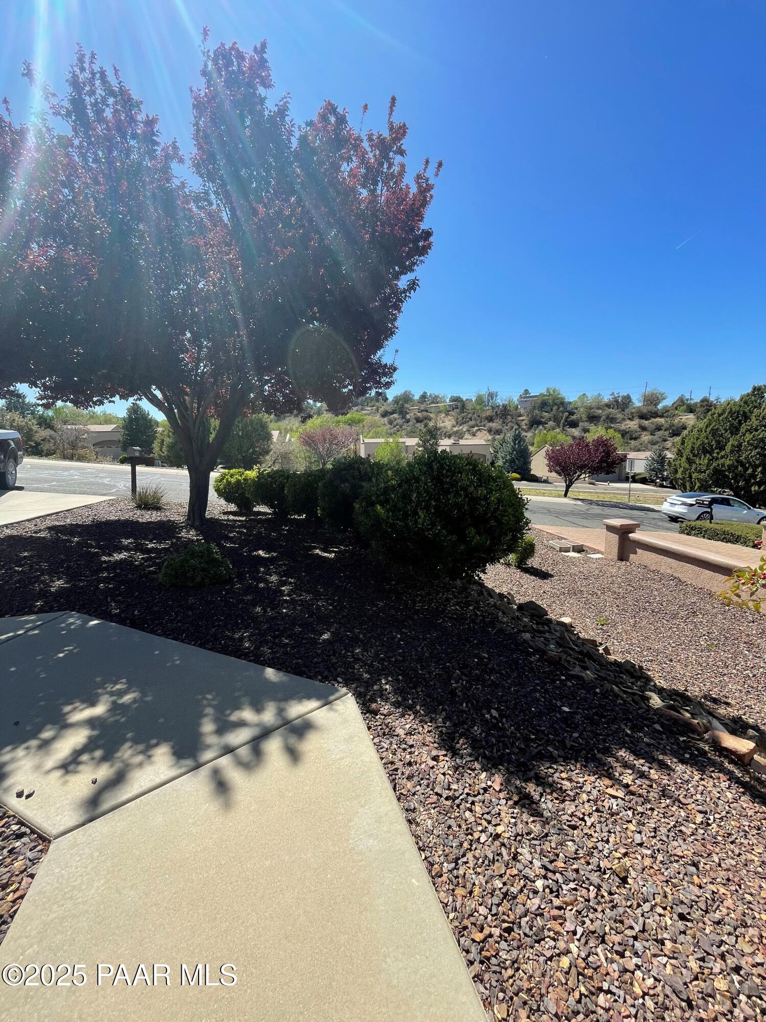 2293 Sequoia Drive