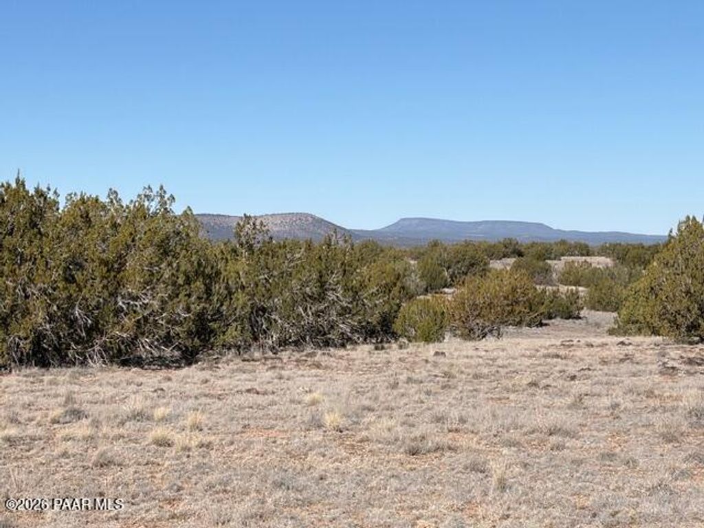 Photo of 522 N Deer Camp Trail, Seligman, AZ 86337 (MLS # 1079725)