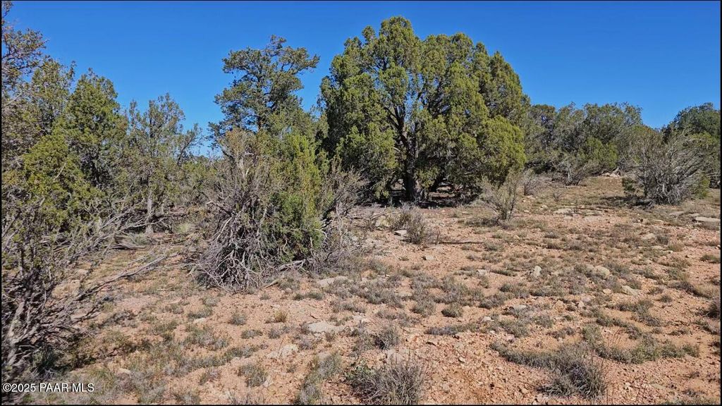 Photo of 54913 N Echo Lane, Seligman, AZ 86337 (MLS # 1077416)