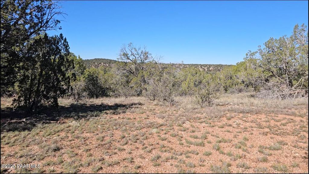 Photo of 54913 N Echo Lane, Seligman, AZ 86337 (MLS # 1077416)