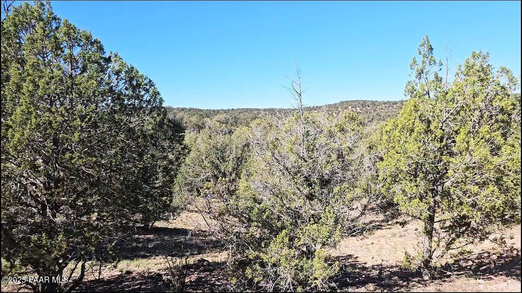 Photo of 54913 N Echo Lane, Seligman, AZ 86337 (MLS # 1077416)