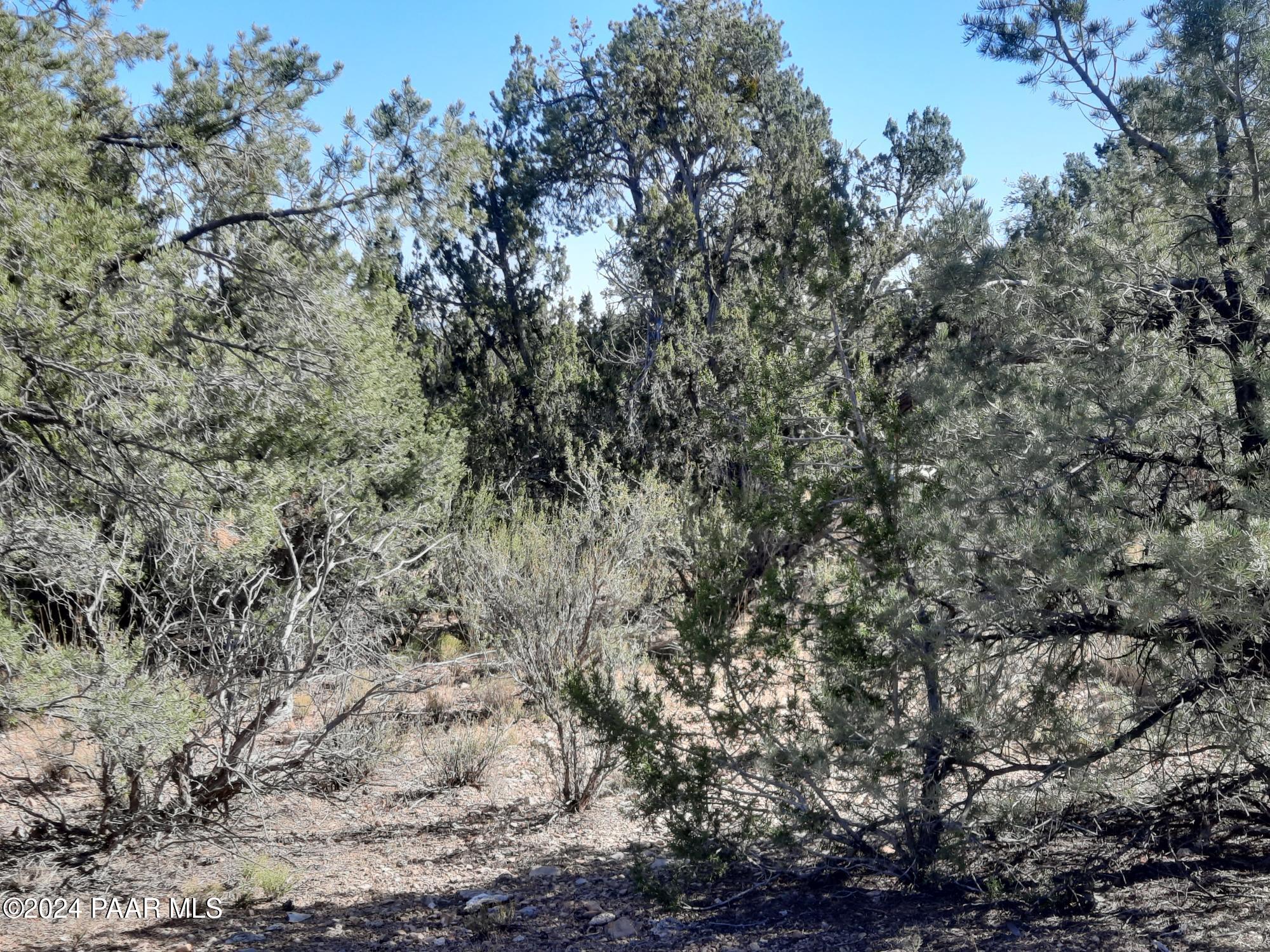 Lot 3408 W Dulce Ln