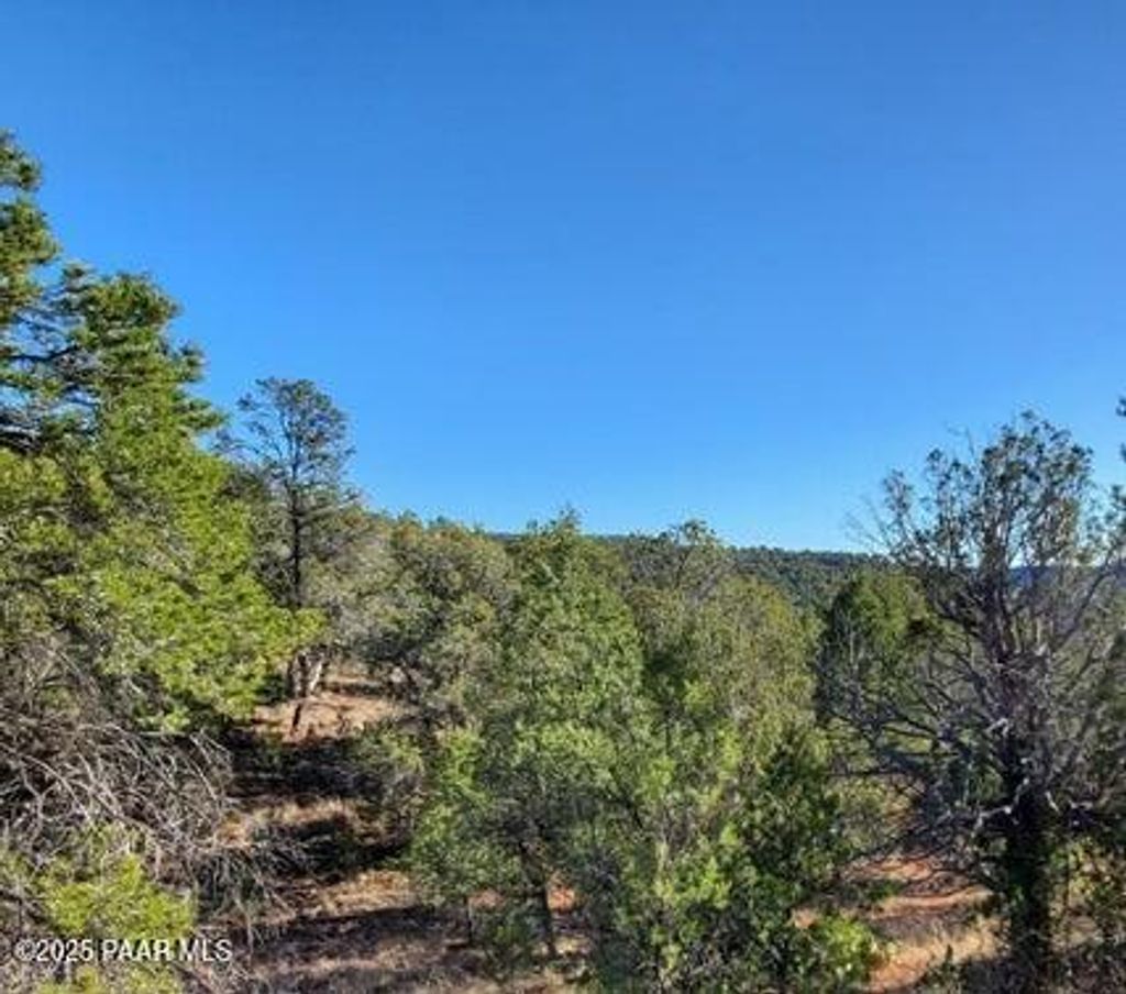 Photo of 11 N Moonshine, Seligman, AZ 86337 (MLS # 1078457)