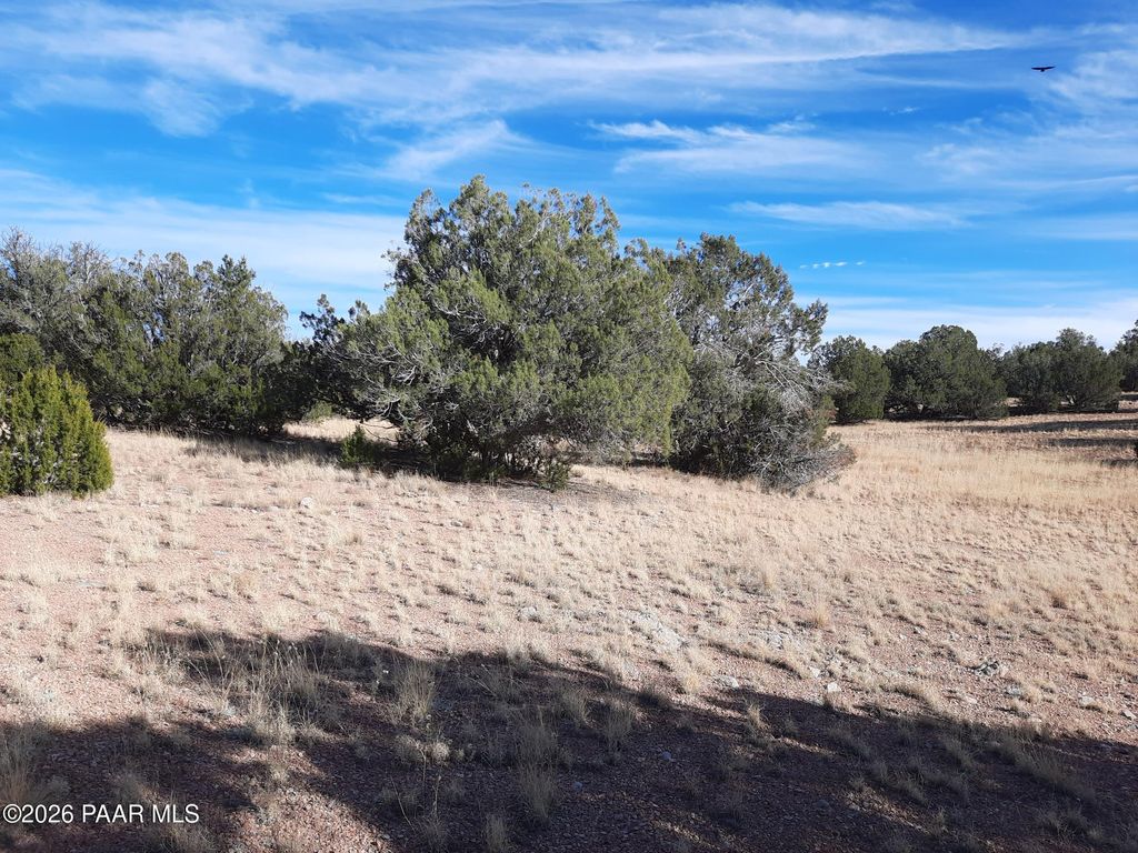 Photo of 31616 W Calle Barril, Seligman, AZ 86337 (MLS # 1078760)