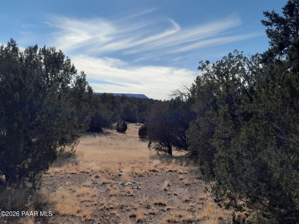 Photo of 31616 W Calle Barril, Seligman, AZ 86337 (MLS # 1078760)