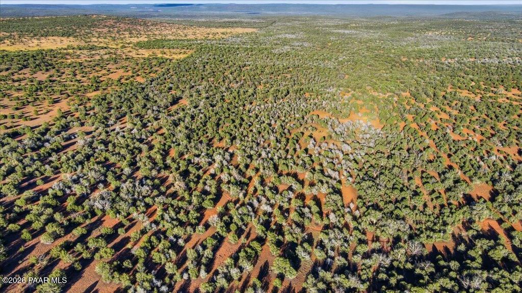 Photo of 8602 N Ten Tanks Road, Williams, AZ 86046 (MLS # 1081844)