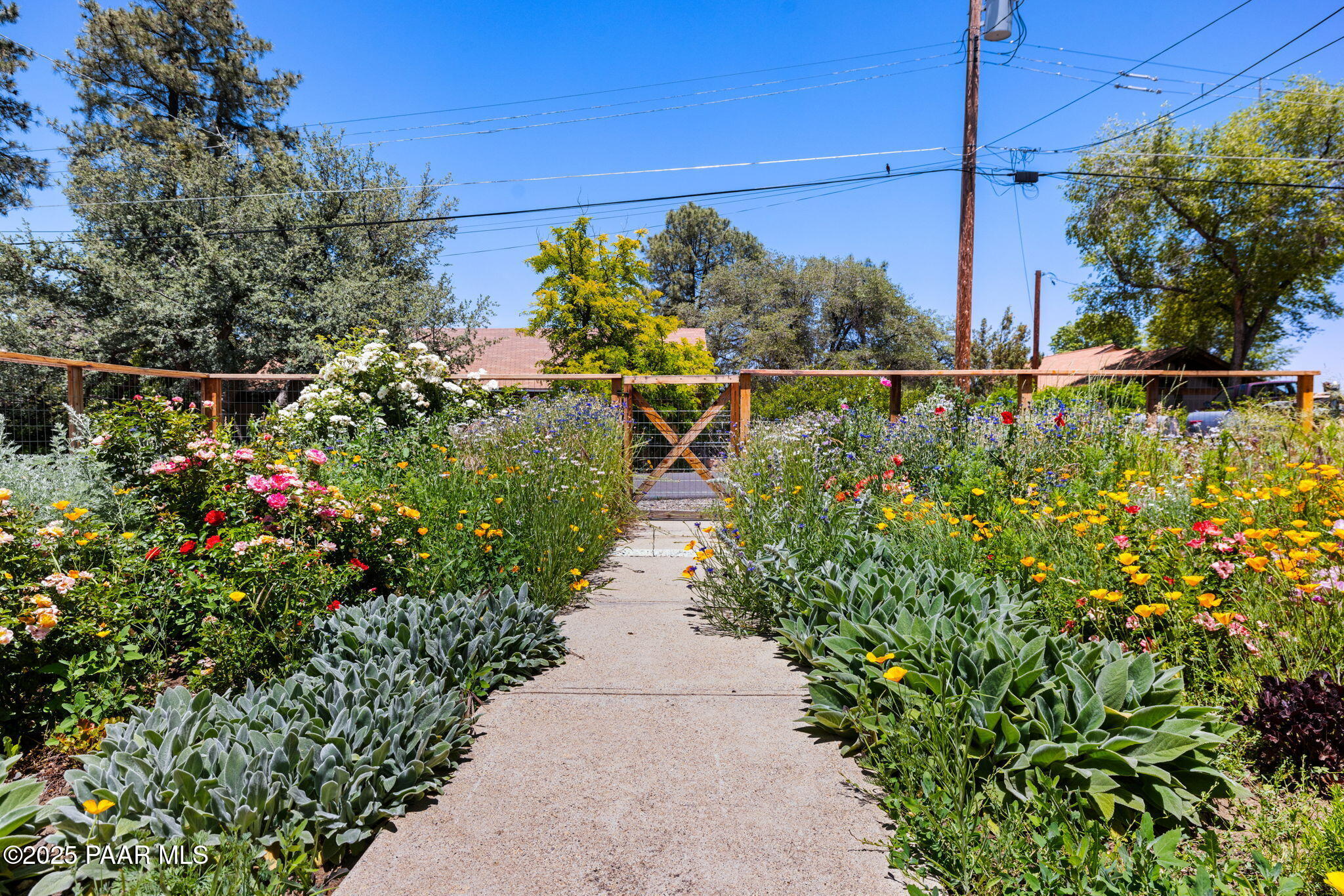 1221 Paar Drive