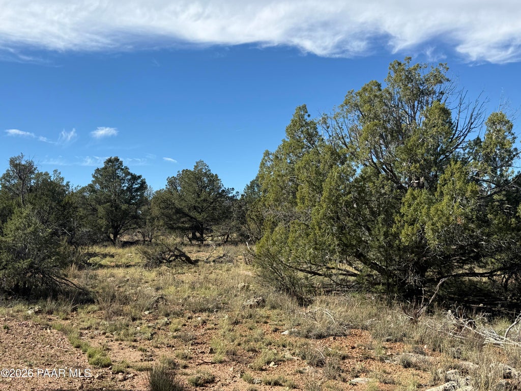Photo of 54697 N Echo Lane, Seligman, AZ 86337 (MLS # 1085981)