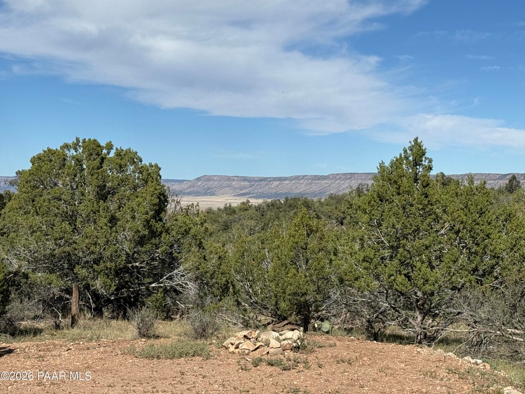 Photo of 54697 N Echo Lane, Seligman, AZ 86337 (MLS # 1085981)