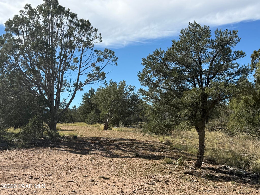 Photo of 54697 N Echo Lane, Seligman, AZ 86337 (MLS # 1085981)