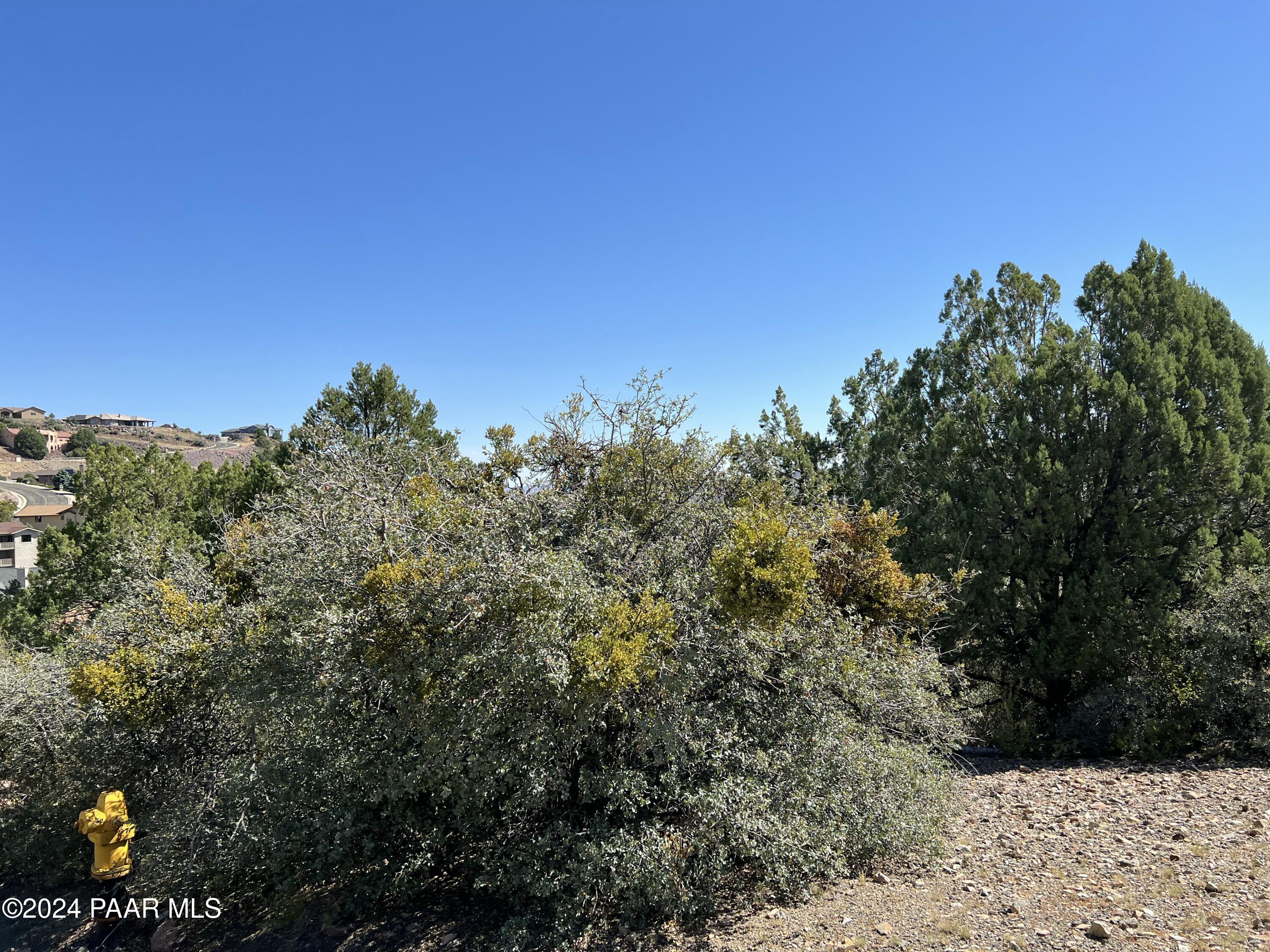 685 Shadow Mountain Drive