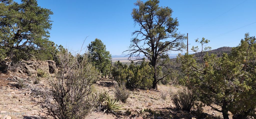 Photo of 363364 Big View, Ash Fork, AZ 86320 (MLS # 1076667)