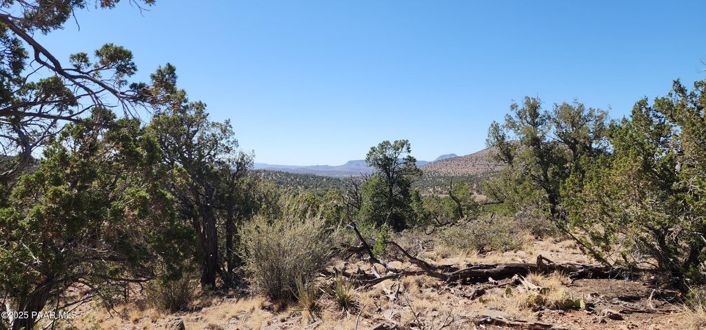 Photo of 363364 Big View, Ash Fork, AZ 86320 (MLS # 1076667)