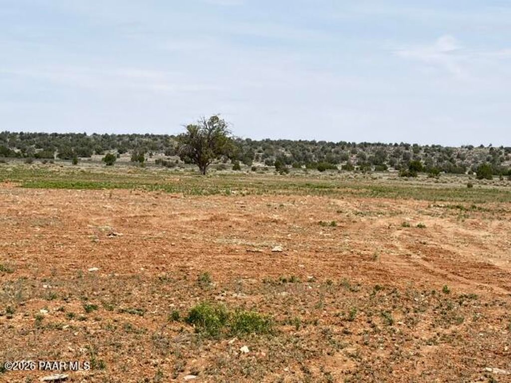 Photo of 595 Ravens Rest, Seligman, AZ 86337 (MLS # 1082290)