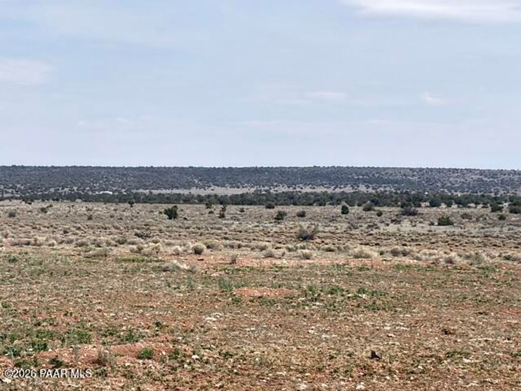 Photo of 595 Ravens Rest, Seligman, AZ 86337 (MLS # 1082290)