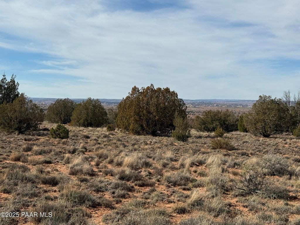 Photo of 3868 Clyde Road, Snowflake, AZ 85937 (MLS # 1078000)