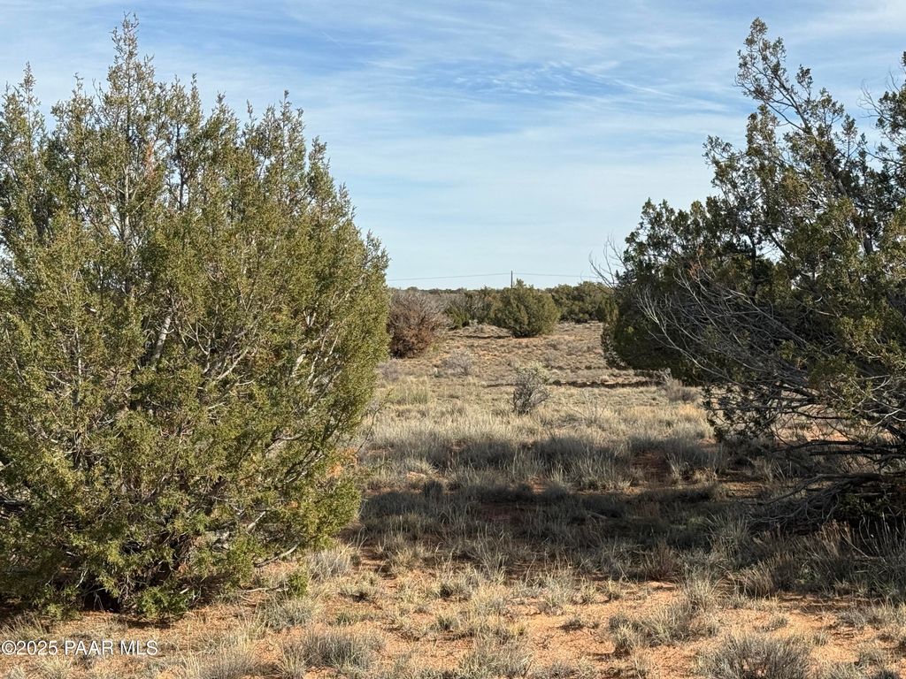 Photo of 3868 Clyde Road, Snowflake, AZ 85937 (MLS # 1078000)