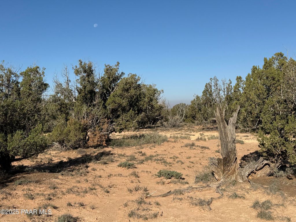 Photo of 3868 Clyde Road, Snowflake, AZ 85937 (MLS # 1078000)