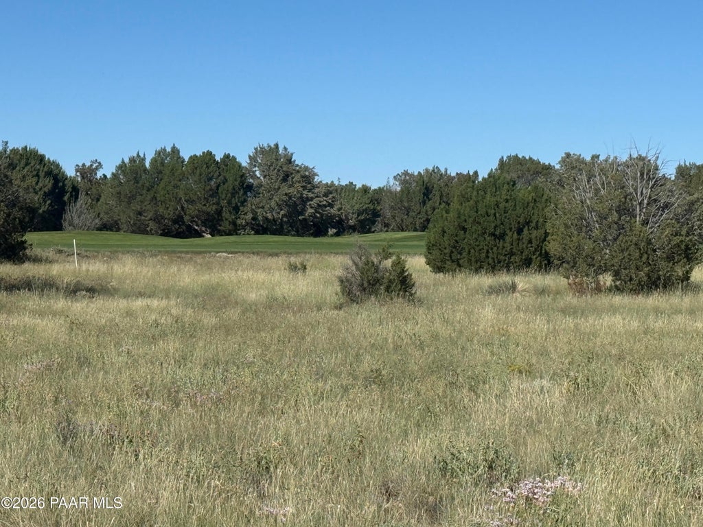 Photo of 8396 Lake View Drive, Show Low, AZ 85901 (MLS # 1085057)