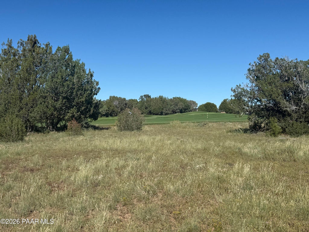 Photo of 8396 Lake View Drive, Show Low, AZ 85901 (MLS # 1085057)