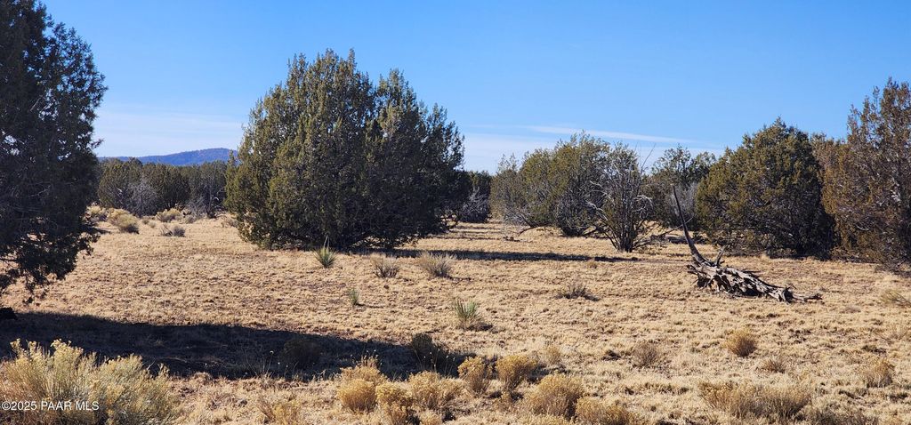 Photo of 2514 Juniperwood Ranch, Ash Fork, AZ 86320 (MLS # 1079728)