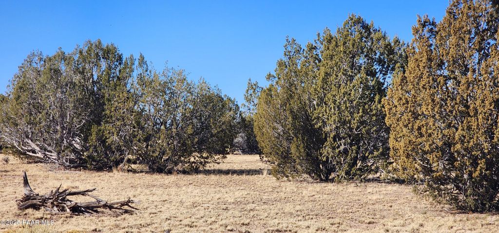 Photo of 2514 Juniperwood Ranch, Ash Fork, AZ 86320 (MLS # 1079728)