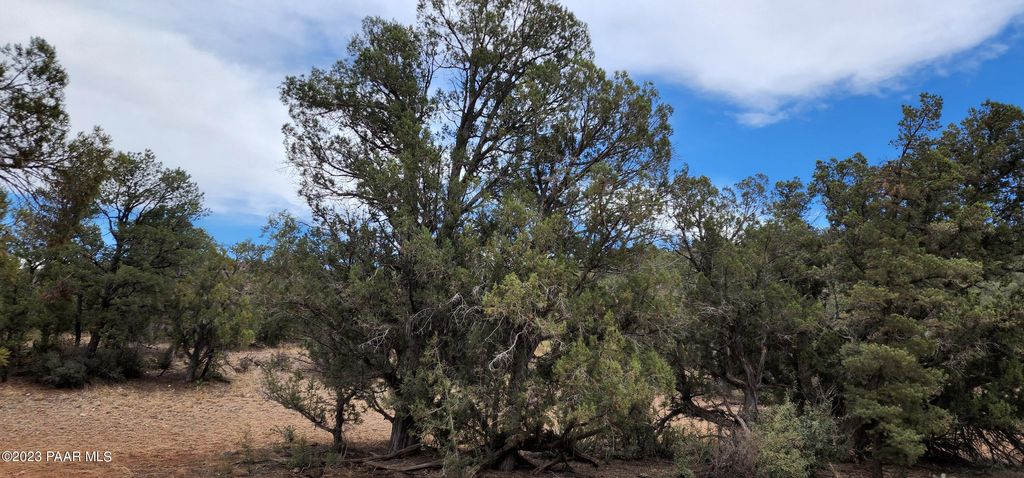 Photo of 0 Off Of Dunbar, Williams, AZ 86046 (MLS # 1077846)