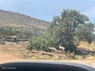 4310 W Morgan Trail