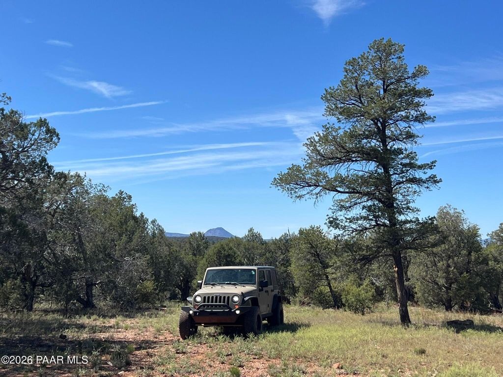Photo of 5 Deer Droppings, Ash Fork, AZ 86320 (MLS # 1081150)