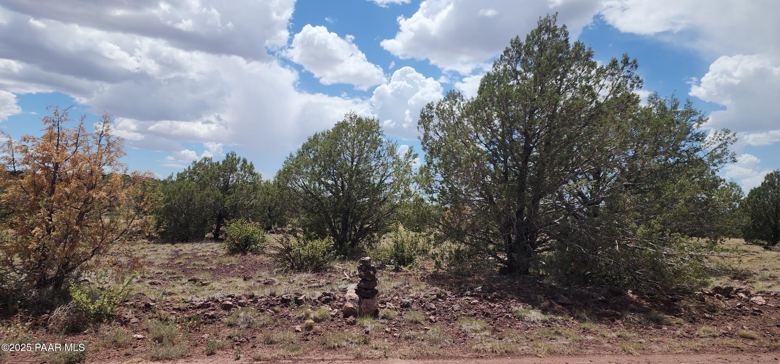 3706 Verde Road