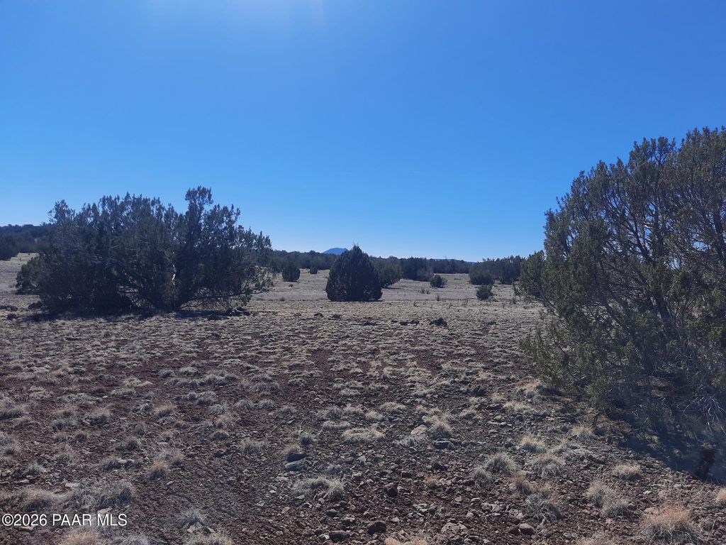 Photo of 1358 W Greenhorn Road, Seligman, AZ 86337 (MLS # 1080192)