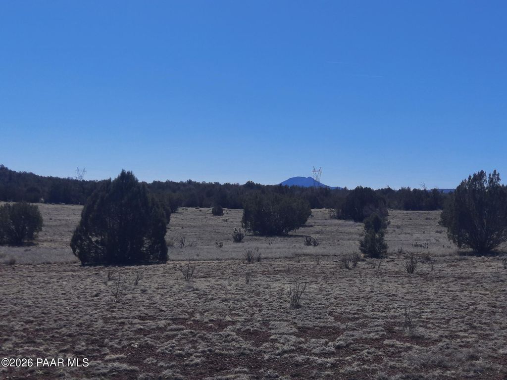 Photo of 1358 W Greenhorn Road, Seligman, AZ 86337 (MLS # 1080192)