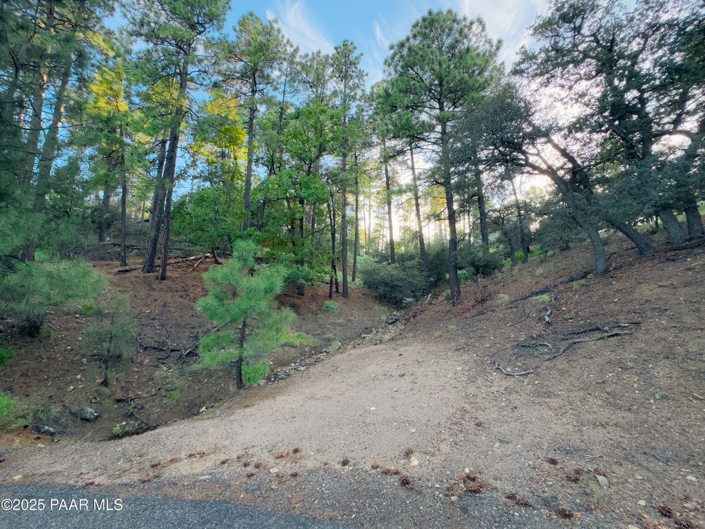 Photo of 1044 N Turkey Run Road, Prescott, AZ 86305 (MLS # 1076843)