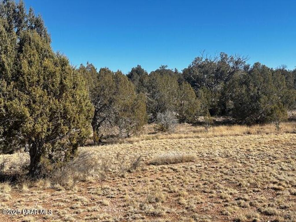Photo of 32372 Ancho Road, Seligman, AZ 86337 (MLS # 1080713)