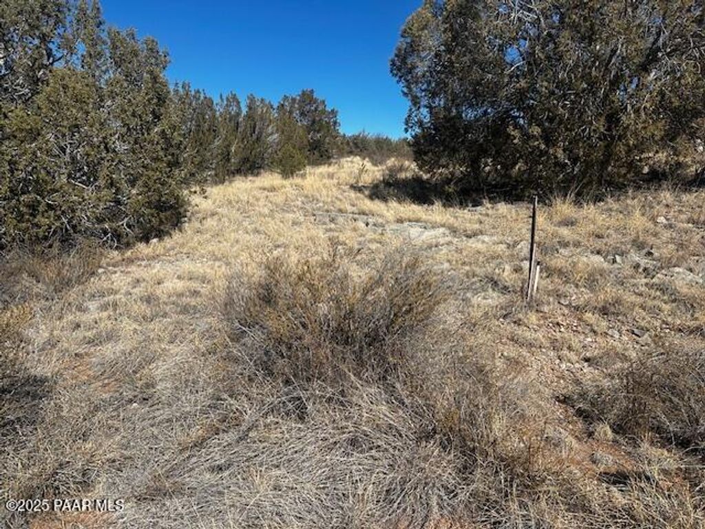 Photo of 32372 Ancho Road, Seligman, AZ 86337 (MLS # 1080713)