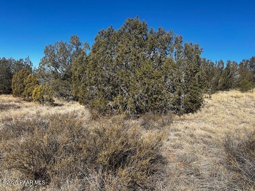 Photo of 32372 Ancho Road, Seligman, AZ 86337 (MLS # 1080713)