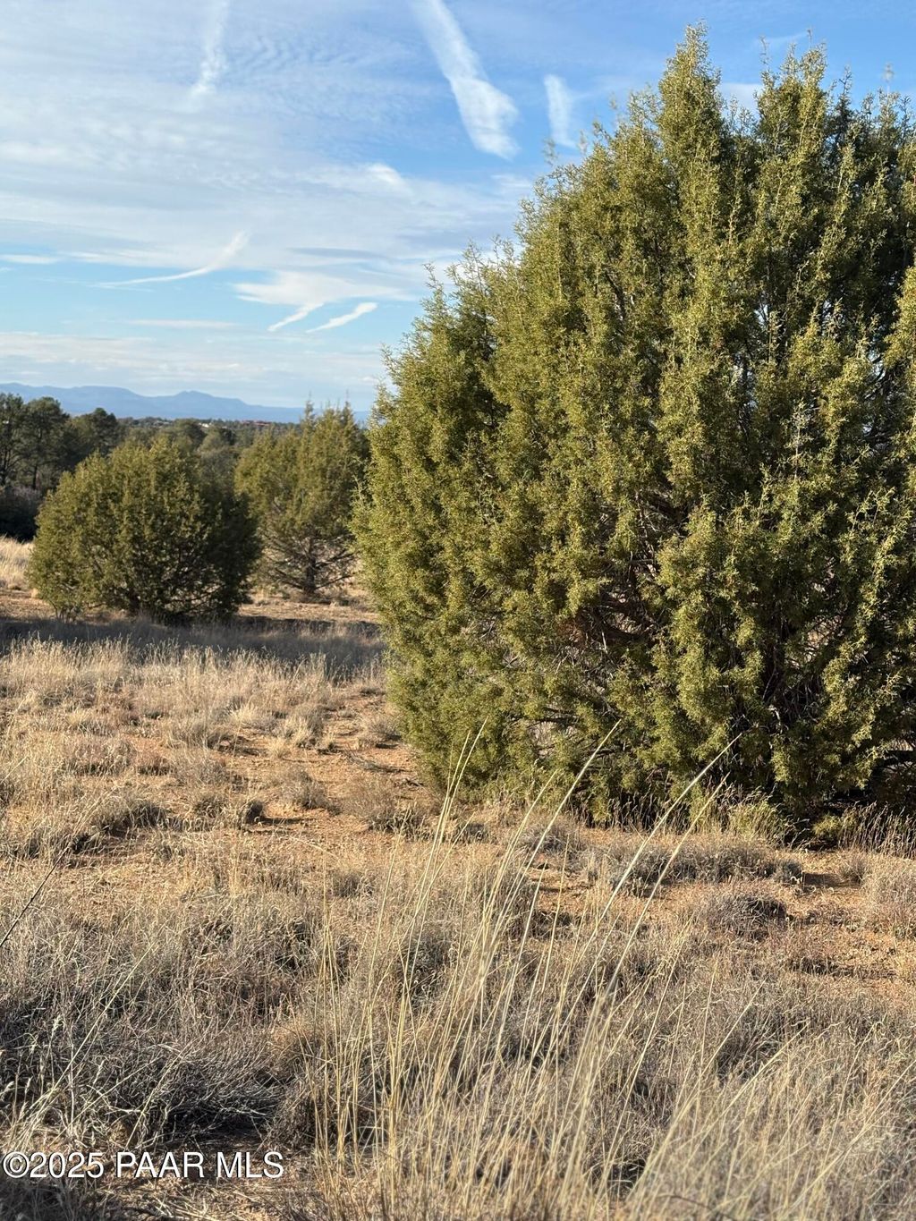 Photo of 00 W Young Road, Prescott, AZ 86305 (MLS # 1077734)