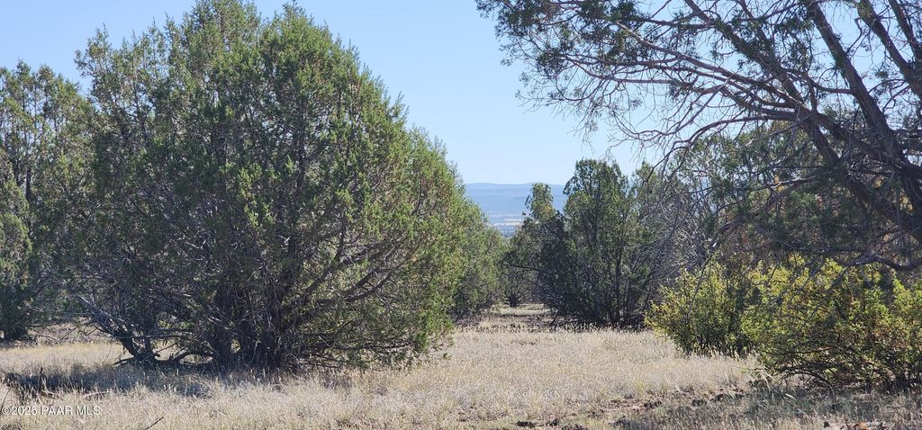 Photo of 30 Off Rattlesnake, Ash Fork, AZ 86320 (MLS # 1077270)
