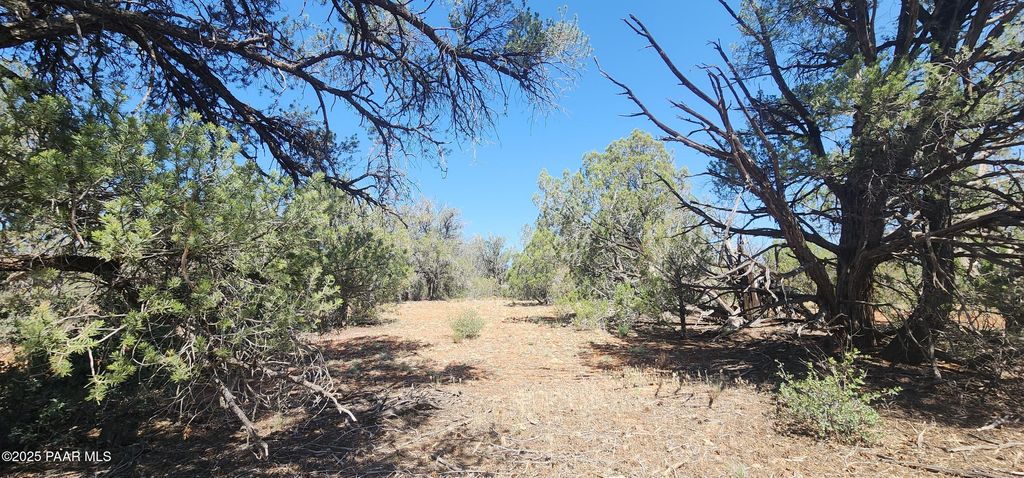Photo of 30 Off Rattlesnake, Ash Fork, AZ 86320 (MLS # 1077270)