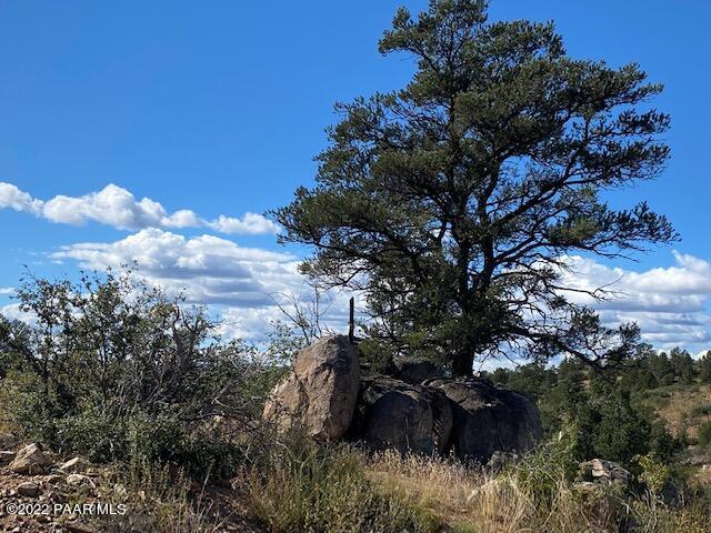 6140 W Mira (Lot 187) Road