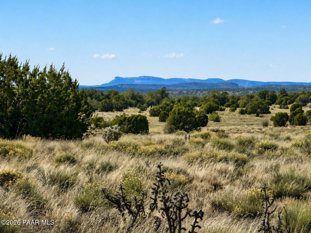 Photo of 78 N Miller Road, Seligman, AZ 86337 (MLS # 1081550)