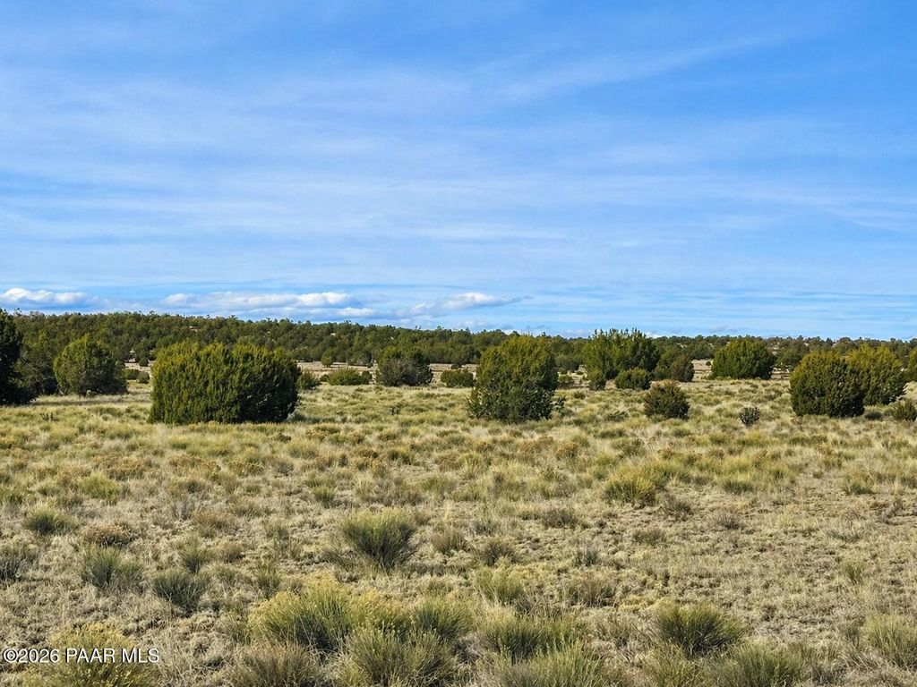 Photo of 78 N Miller Road, Seligman, AZ 86337 (MLS # 1081550)