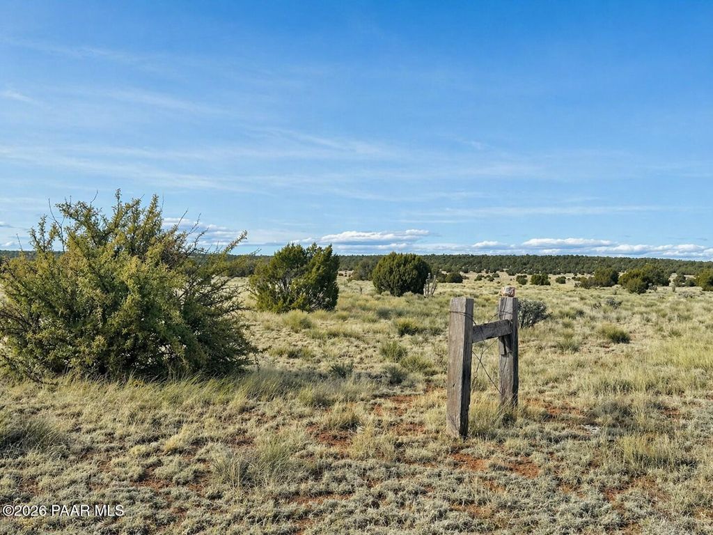 Photo of 78 N Miller Road, Seligman, AZ 86337 (MLS # 1081550)