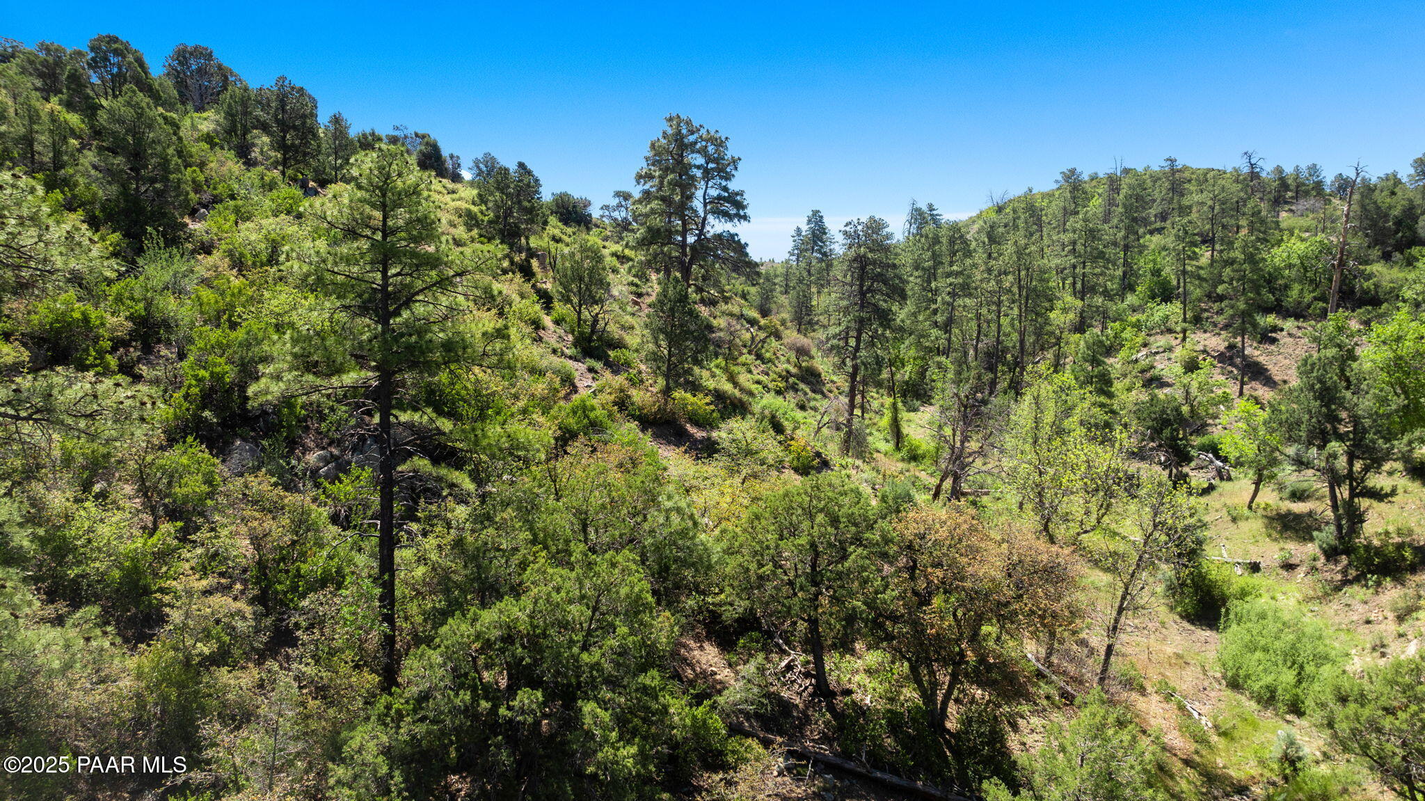 1751 W Wilderness Trail