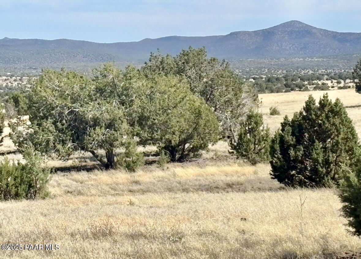 Lot 46 W Rawhide Ranch Road