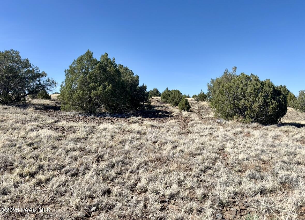 Lot 46 W Rawhide Ranch Road