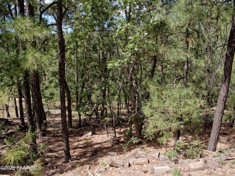 Photo of 15016 S Ponderosa Drive, Prescott, AZ 86303 (MLS # 1085401)