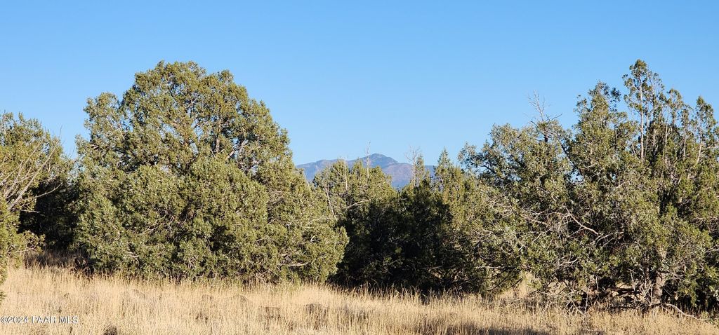 Photo of 88 Rose Lane, Ash Fork, AZ 86320 (MLS # 1077691)