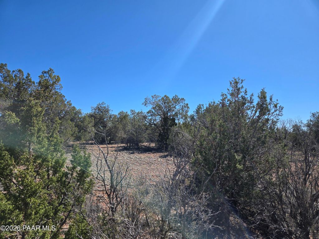 Photo of 55688 N Latigo Road, Seligman, AZ 86337 (MLS # 1080903)