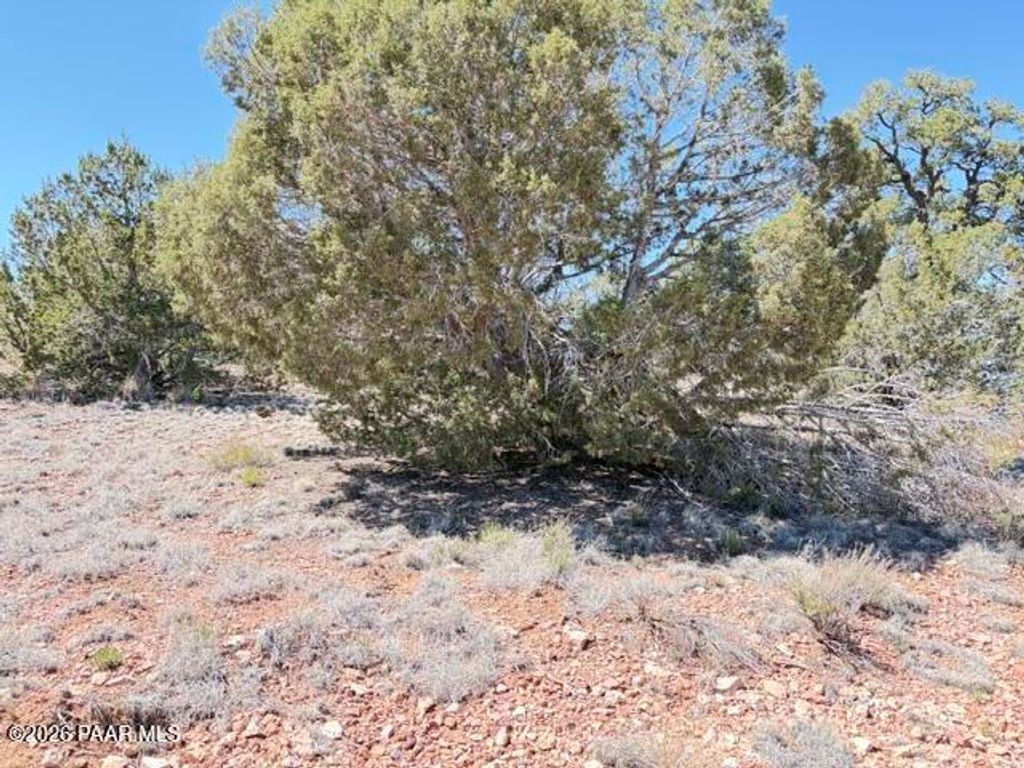 Photo of 64550 N Flaming Star Drive, Seligman, AZ 86434 (MLS # 1081980)
